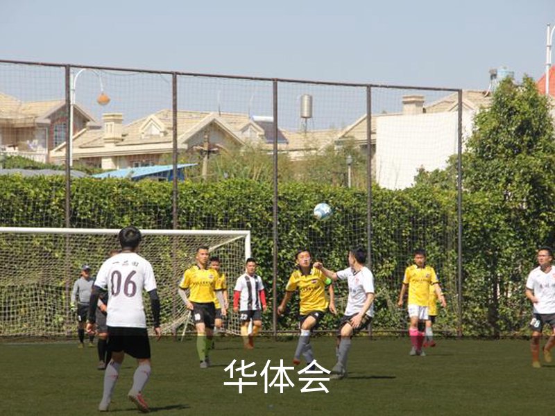 了解华体会